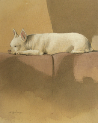 drawing painting sleeping dog