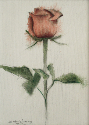 wash painting single red rose