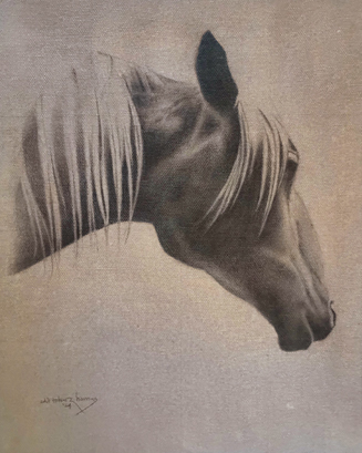 pencil drawing of a horse's head